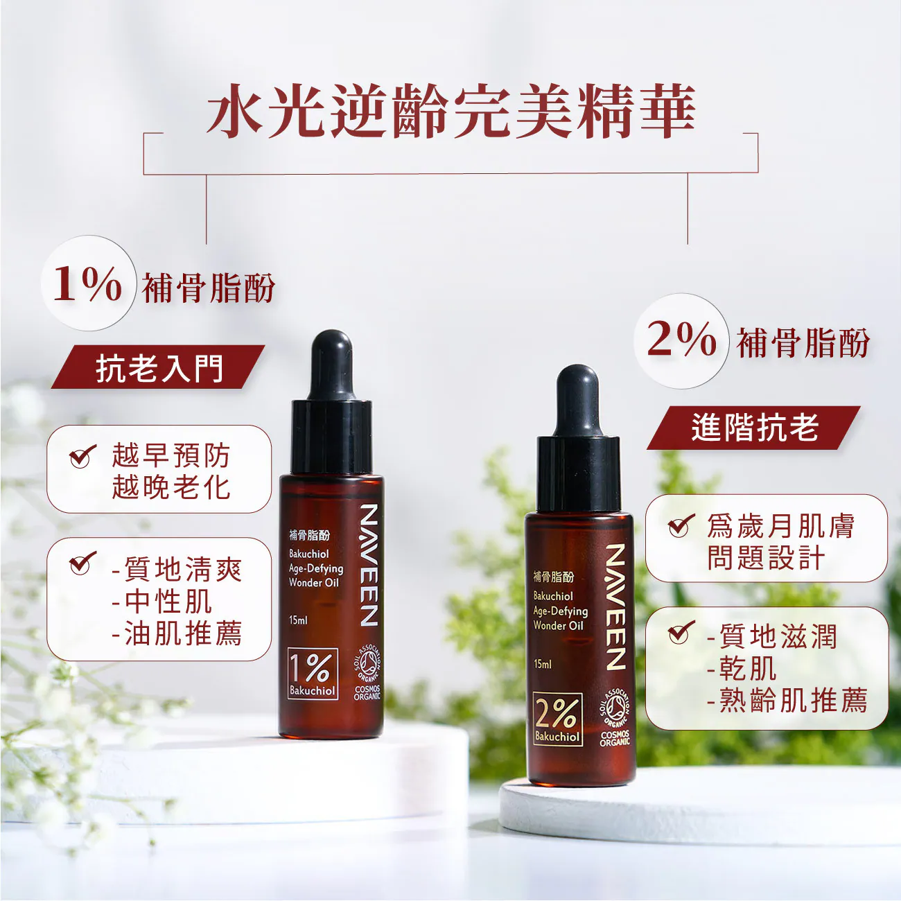 8.webp