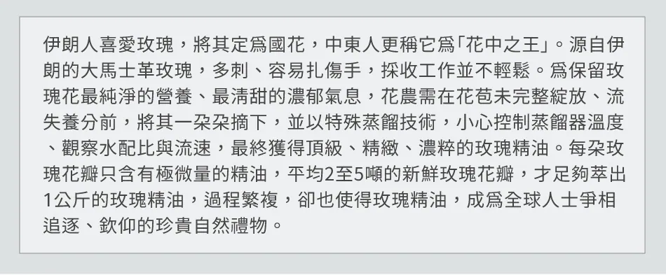7.webp