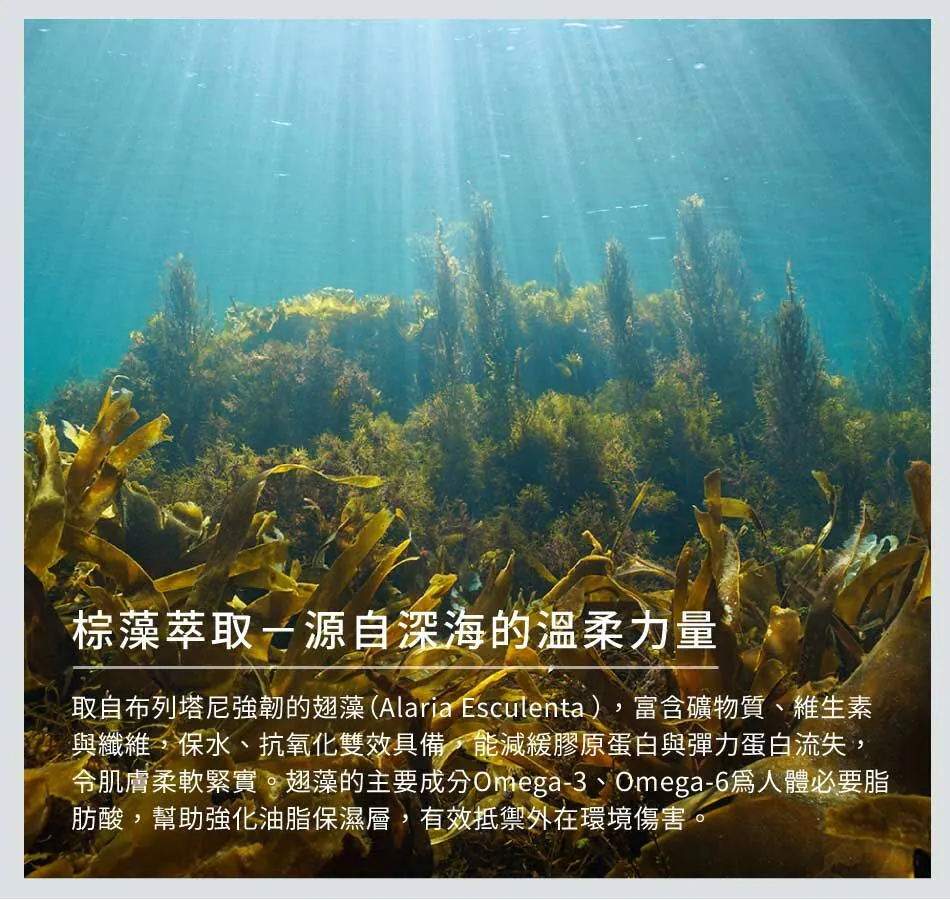 9.webp