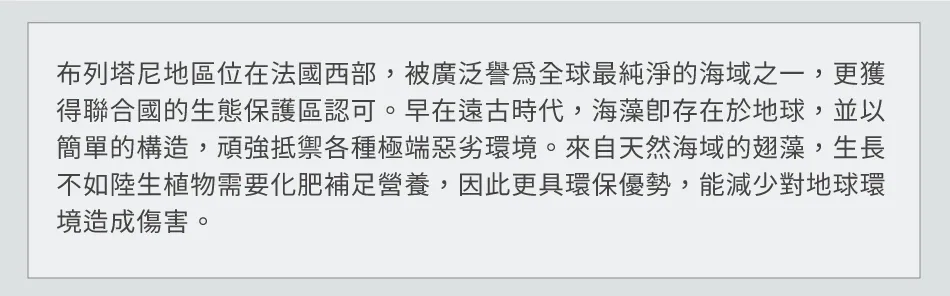 10.webp