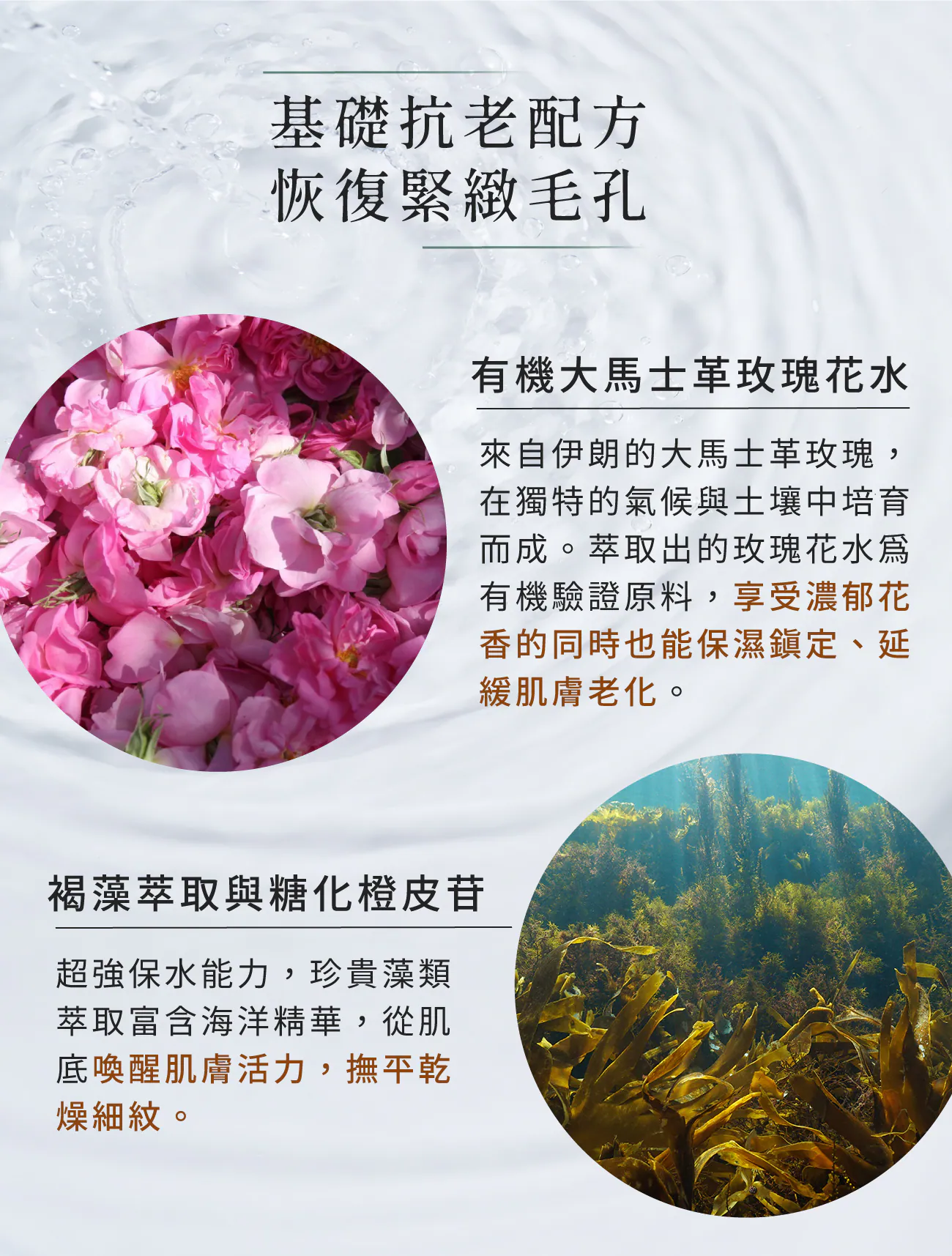 5.webp