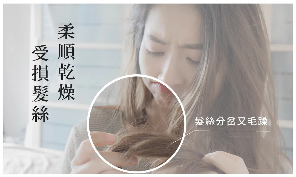 3.webp