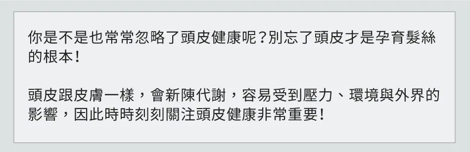 6.webp