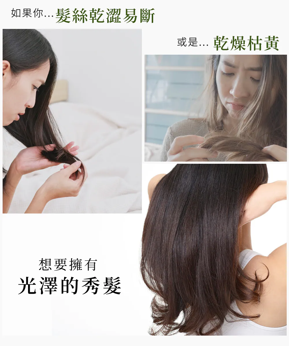 3.webp